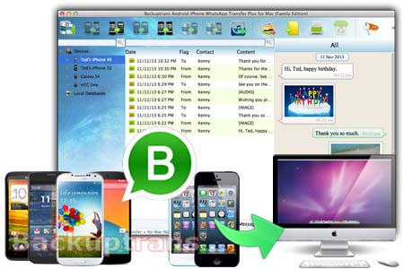 Backup WhatsApp Business Chat History to Computer