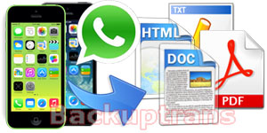Export WhatsApp Messages from iPhone to Text, Word, HTML, PDF File