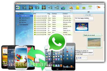 Whatsapp Whatsapp